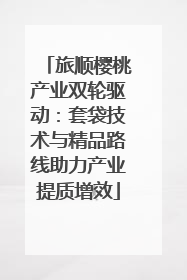 旅顺樱桃产业双轮驱动：套袋技术与精品路线助力产业提质增效