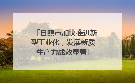 日照市加快推进新型工业化，发展新质生产力成效显著