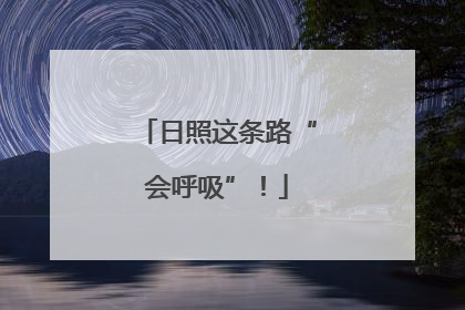 日照这条路“会呼吸”！