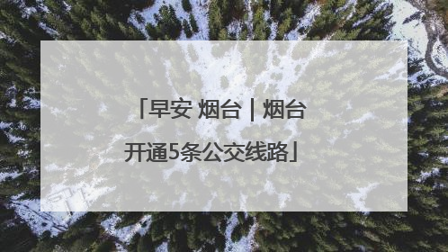 早安 烟台｜烟台开通5条公交线路