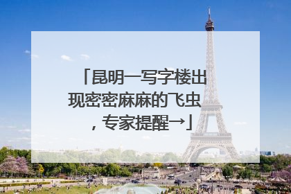 昆明一写字楼出现密密麻麻的飞虫，专家提醒→