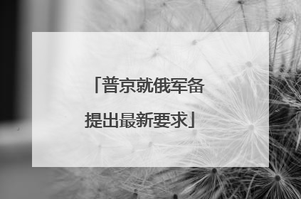 普京就俄军备提出最新要求