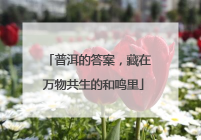 普洱的答案，藏在万物共生的和鸣里