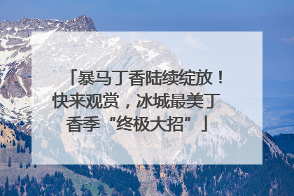 暴马丁香陆续绽放！快来观赏，冰城最美丁香季“终极大招”