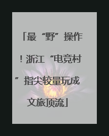 最“野”操作！浙江“电竞村”指尖较量玩成文旅顶流