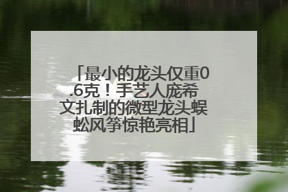 最小的龙头仅重0.6克！手艺人庞希文扎制的微型龙头蜈蚣风筝惊艳亮相