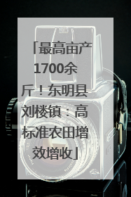 最高亩产1700余斤！东明县刘楼镇：高标准农田增效增收