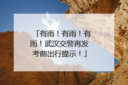 有雨！有雨！有雨！武汉交警再发考前出行提示！