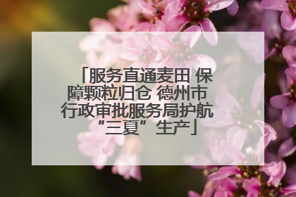 服务直通麦田 保障颗粒归仓 德州市行政审批服务局护航“三夏”生产