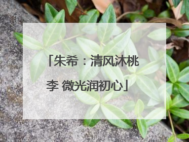 朱希：清风沐桃李 微光润初心