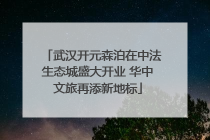 武汉开元森泊在中法生态城盛大开业 华中文旅再添新地标
