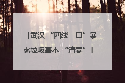 武汉 “四线一口”暴露垃圾基本 “清零”