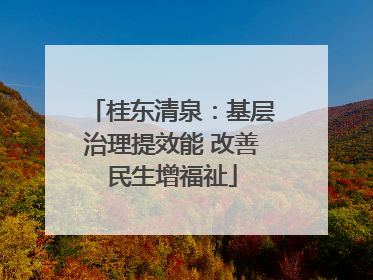 桂东清泉：基层治理提效能 改善民生增福祉