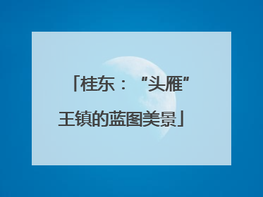 桂东：“头雁”王镇的蓝图美景