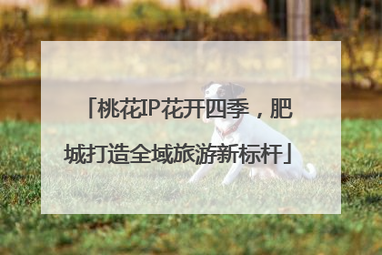 桃花IP花开四季，肥城打造全域旅游新标杆