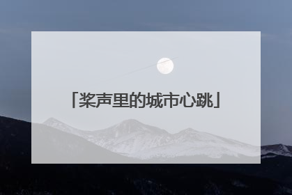 桨声里的城市心跳