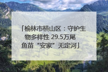 榆林市横山区：守护生物多样性 29.5万尾鱼苗“安家”无定河