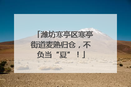 潍坊寒亭区寒亭街道麦熟归仓，不负当“夏”！