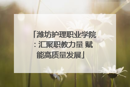潍坊护理职业学院：汇聚职教力量 赋能高质量发展
