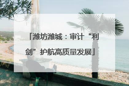 潍坊潍城：审计“利剑”护航高质量发展