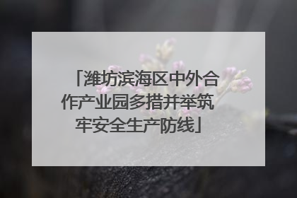 潍坊滨海区中外合作产业园多措并举筑牢安全生产防线