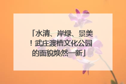 水清、岸绿、景美！武庄渡槽文化公园的面貌焕然一新