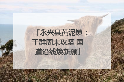永兴县黄泥镇：干群周末攻坚 国道沿线焕新颜