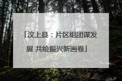 汶上县：片区组团谋发展 共绘振兴新画卷