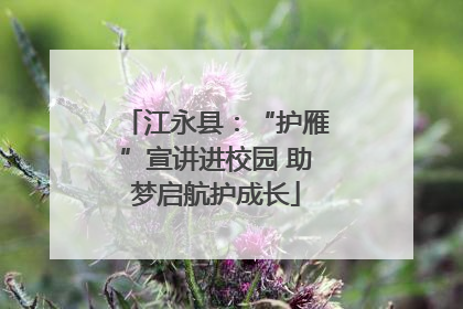 江永县：“护雁”宣讲进校园 助梦启航护成长