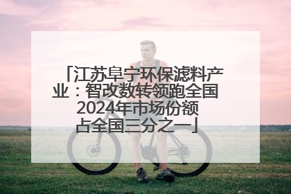江苏阜宁环保滤料产业：智改数转领跑全国 2024年市场份额占全国三分之一