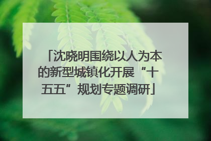 沈晓明围绕以人为本的新型城镇化开展“十五五”规划专题调研