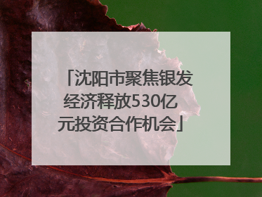 沈阳市聚焦银发经济释放530亿元投资合作机会
