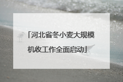河北省冬小麦大规模机收工作全面启动