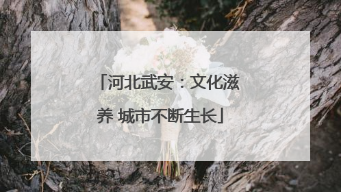 河北武安：文化滋养 城市不断生长