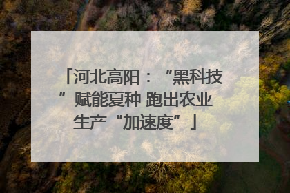 河北高阳：“黑科技”赋能夏种 跑出农业生产“加速度”