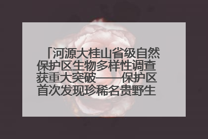 河源大桂山省级自然保护区生物多样性调查获重大突破——保护区首次发现珍稀名贵野生干巴菌与钝尾两头蛇
