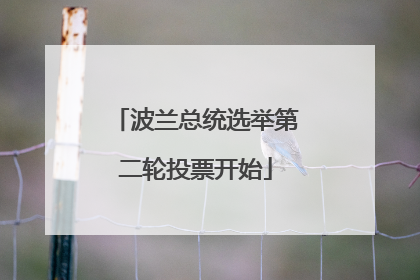 波兰总统选举第二轮投票开始