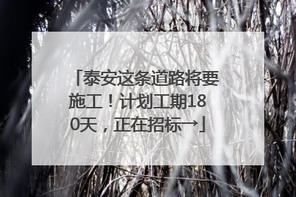 泰安这条道路将要施工！计划工期180天，正在招标→