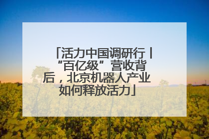 活力中国调研行丨 “百亿级”营收背后，北京机器人产业如何释放活力