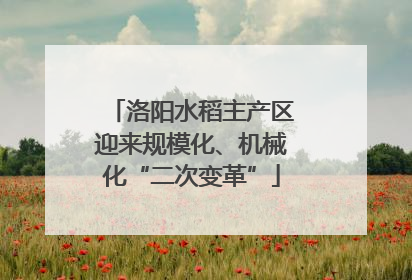 洛阳水稻主产区迎来规模化、机械化“二次变革”