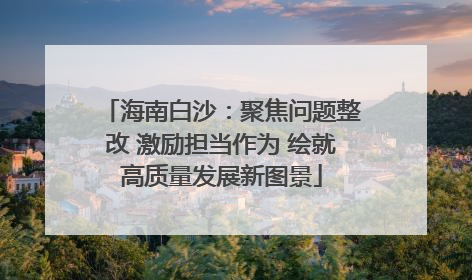 海南白沙：聚焦问题整改 激励担当作为 绘就高质量发展新图景