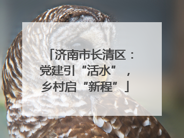 济南市长清区：党建引“活水”，乡村启“新程”