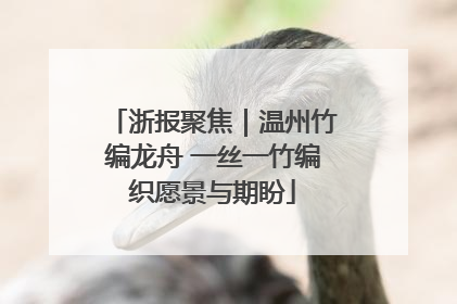浙报聚焦｜温州竹编龙舟 一丝一竹编织愿景与期盼