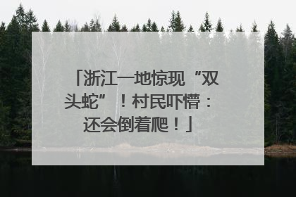 浙江一地惊现“双头蛇”！村民吓懵：还会倒着爬！