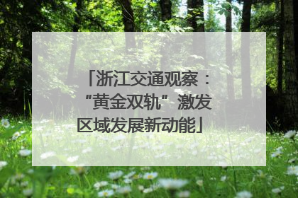 浙江交通观察：“黄金双轨”激发区域发展新动能