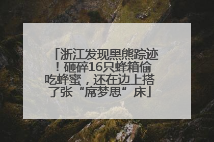 浙江发现黑熊踪迹！砸碎16只蜂箱偷吃蜂蜜，还在边上搭了张“席梦思”床