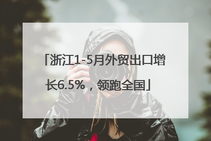 浙江1-5月外贸出口增长6.5%，领跑全国