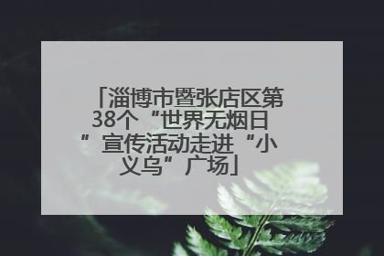 淄博市暨张店区第38个“世界无烟日”宣传活动走进“小义乌”广场