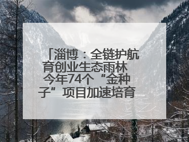淄博：全链护航育创业生态雨林 今年74个“金种子”项目加速培育 政策性扶持创业9754人