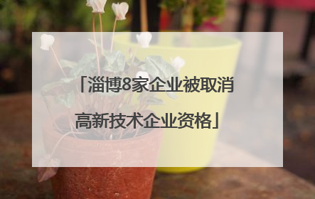 淄博8家企业被取消高新技术企业资格